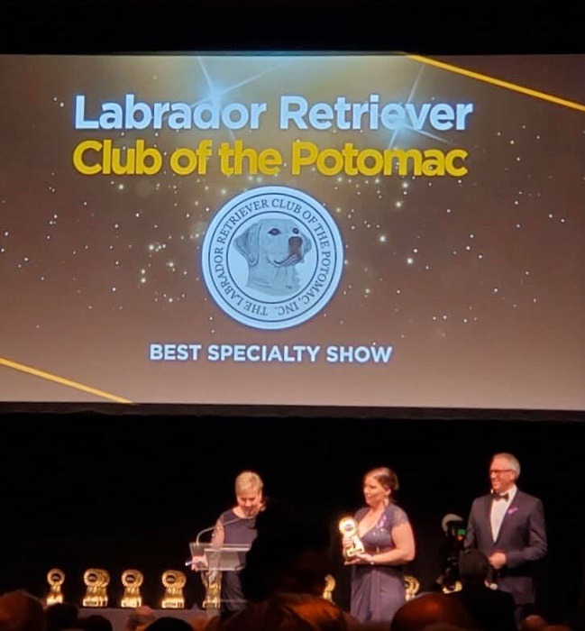 Labrador Retriever Club of the Potomac winning Best Specialty Show