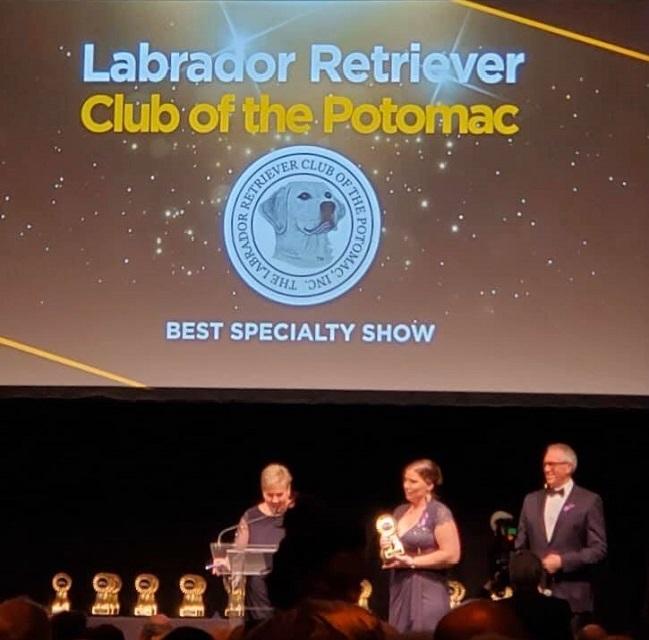 El Labrador Retriever Club of the Potomac ganando el Best Specialty Show