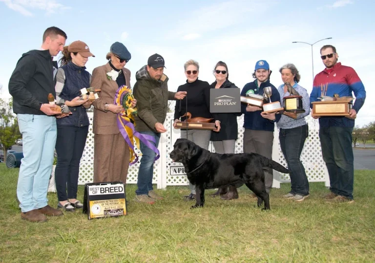 Best of Breed winner - and his entourage - at the 2024 LRCP specialty show