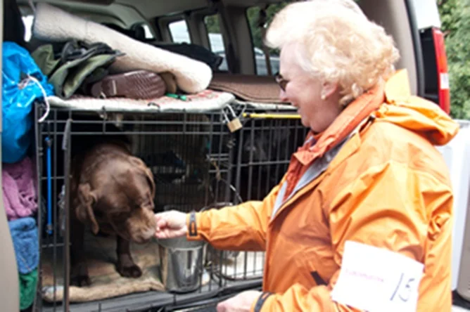 Lady in an orange raincoat feeds a snack to a chocolate Labrador
