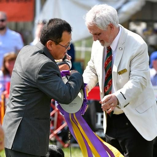 Winning Best of Breed at the LRCP Specialty Show