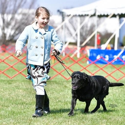 A smiling girl and her Labrador Retriever