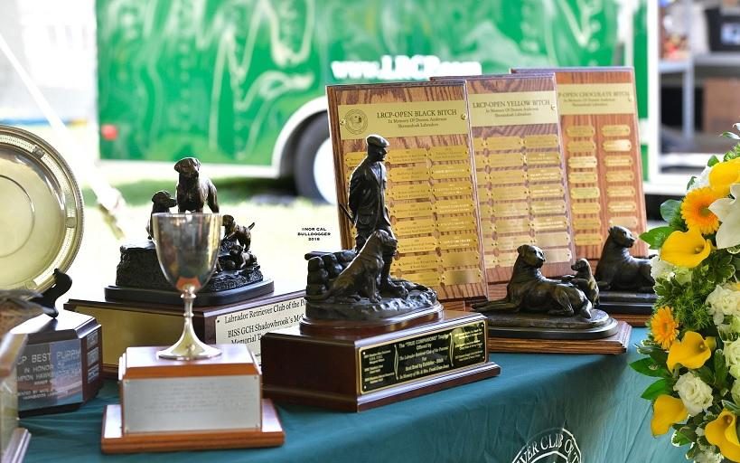 Trophies for the winning dogs