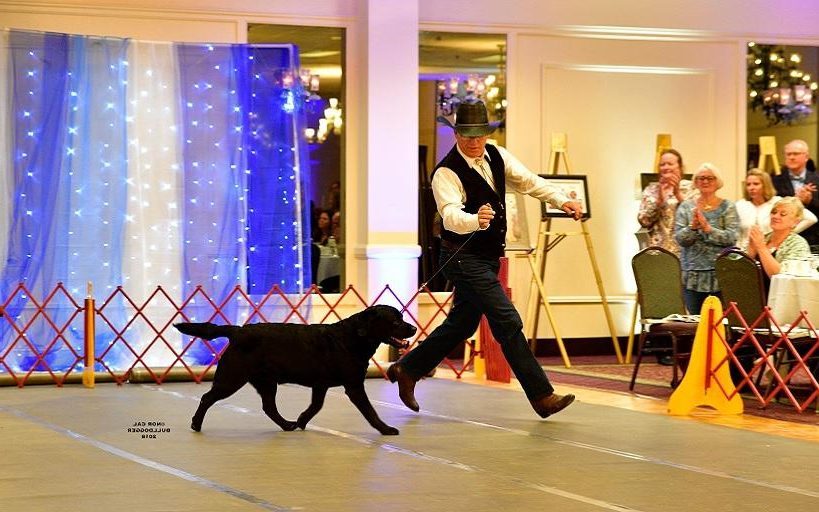Man showing his black Lab at the Top Twenty Gala Event