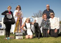 GCH Hyspire Ghoststone A Tough Nut To Crack - LRCP Best of Breed 2022