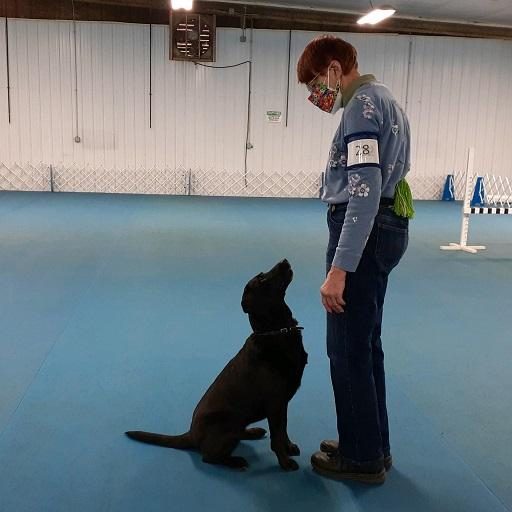In all obedience competitions, the dog will sit - sometimes in front, facing the handler and sometimes at the handler's left side.